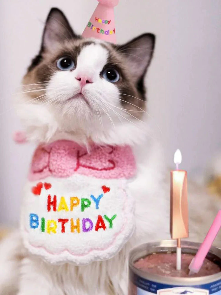 Birthday Paws