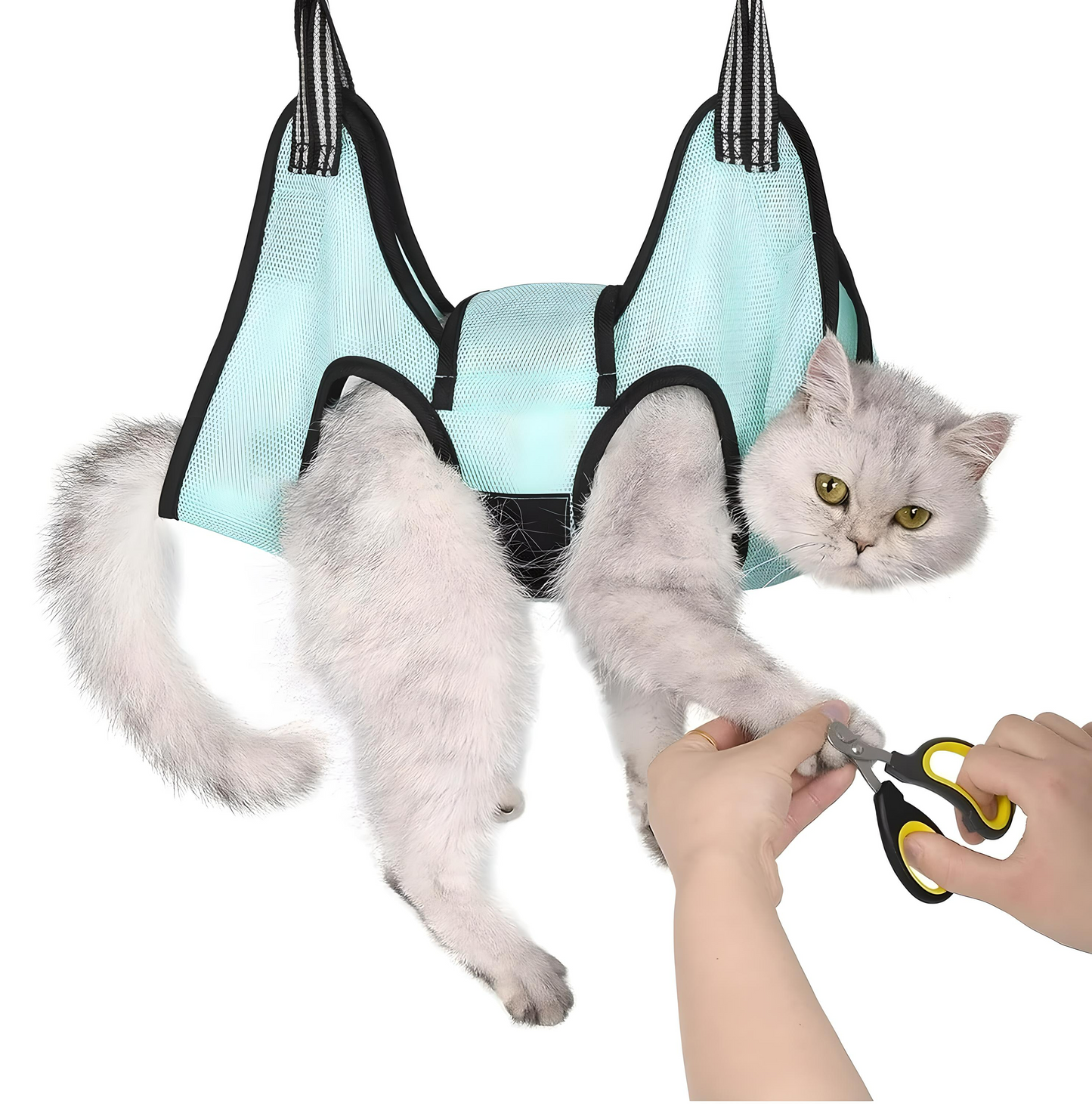 PawEase Beauty Hammock