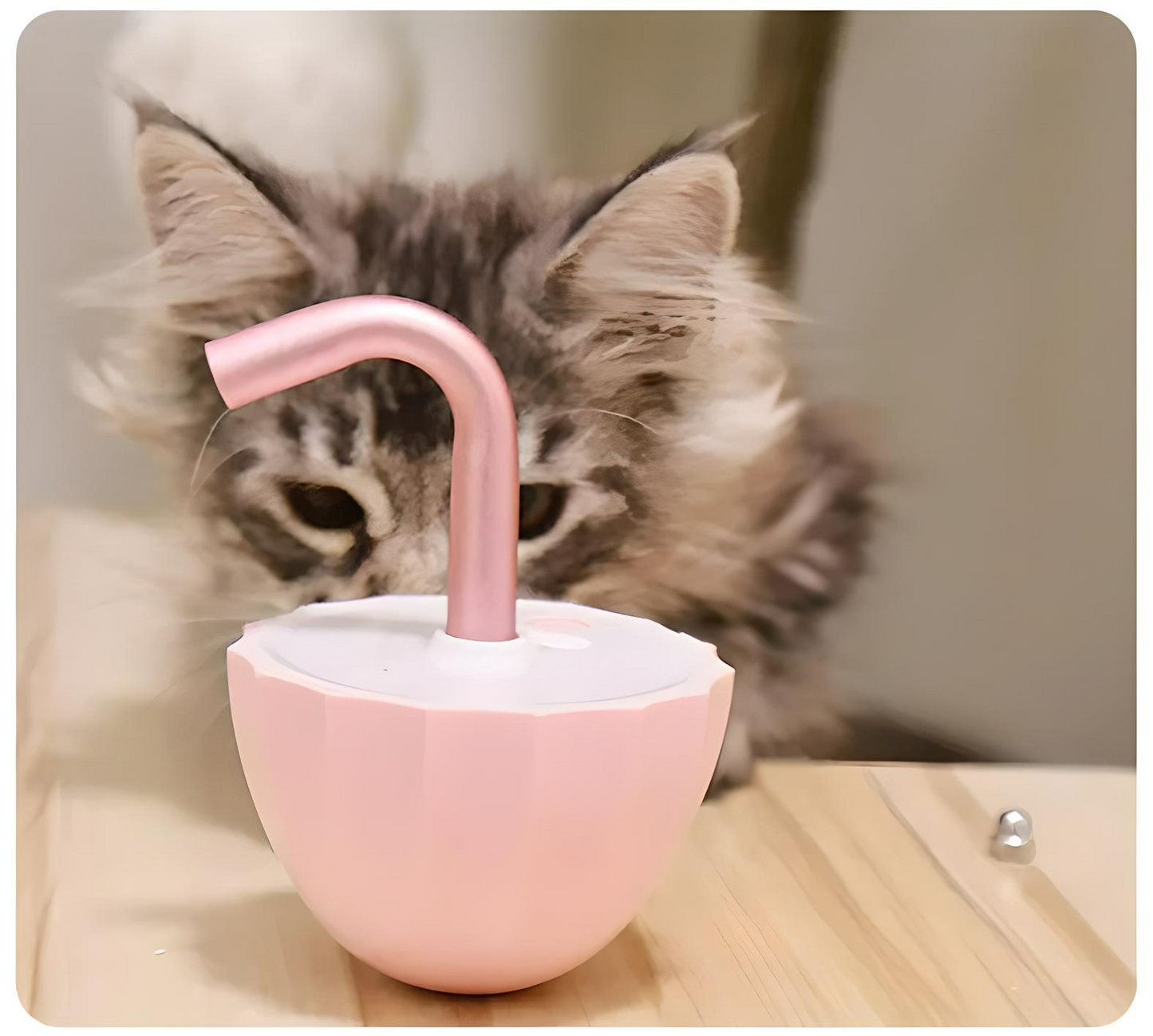 CAT LASER TUMBLER TOY
