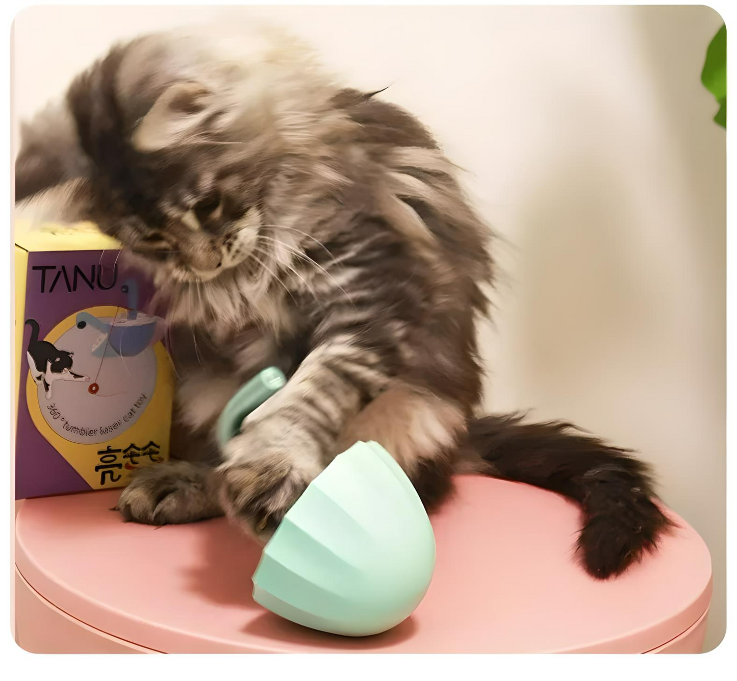 CAT LASER TUMBLER TOY