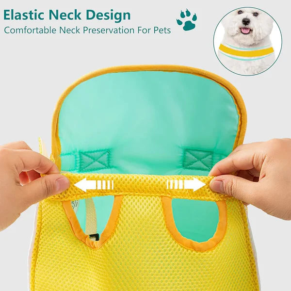 CuddlePaw Relax & Groom Carrier