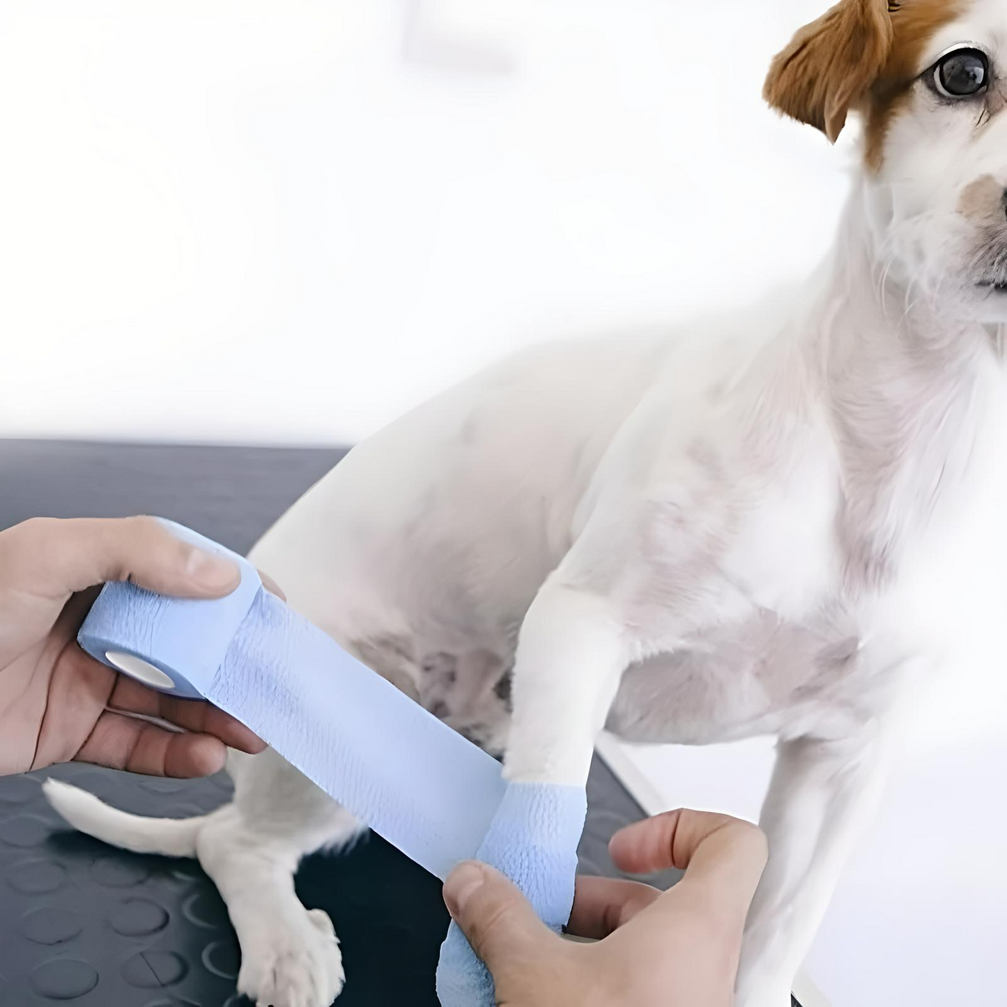 PawWrap™ Bandage