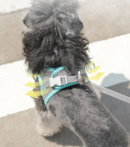 Cat Harness & Leash