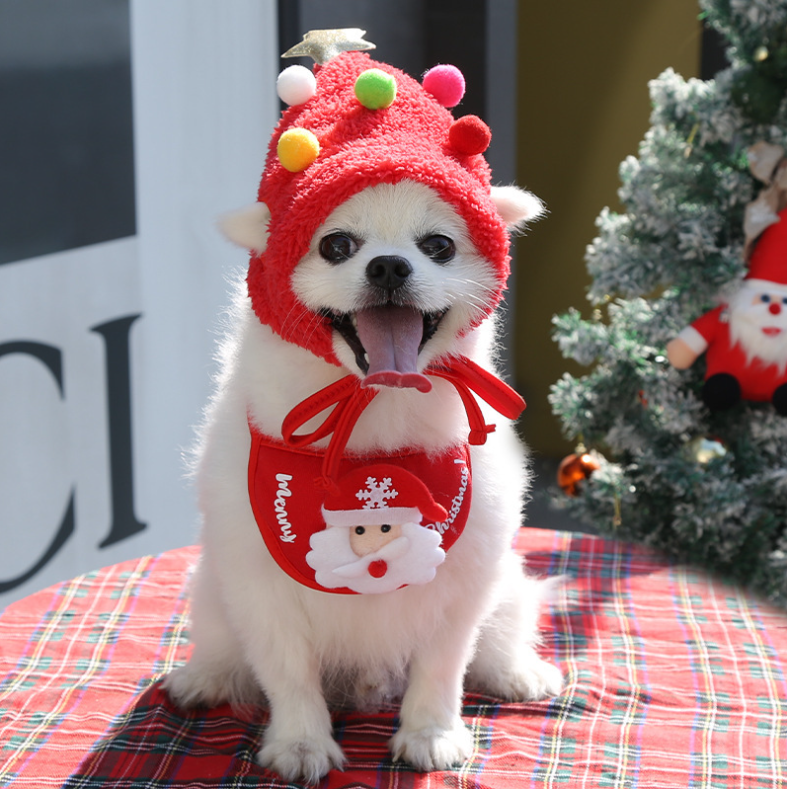Santa Paws Duo ( Hat + Scarf)
