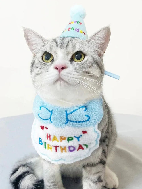Birthday Paws