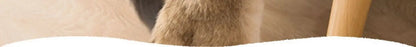 Scratcher Mat