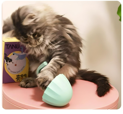 CAT LASER TUMBLER TOY