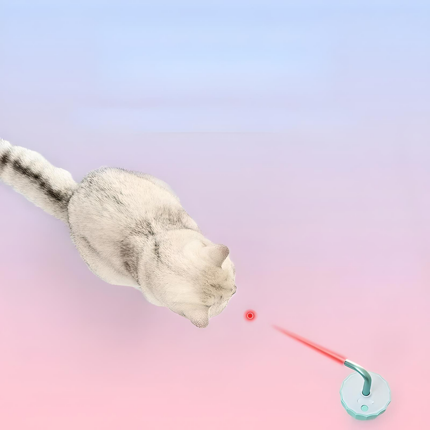 CAT LASER TUMBLER TOY